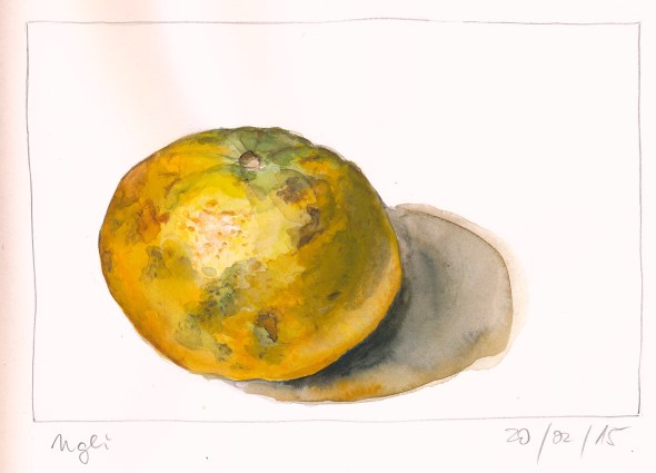 Ugli-Frucht. Aquarell in Stillman&Birn Zeta.