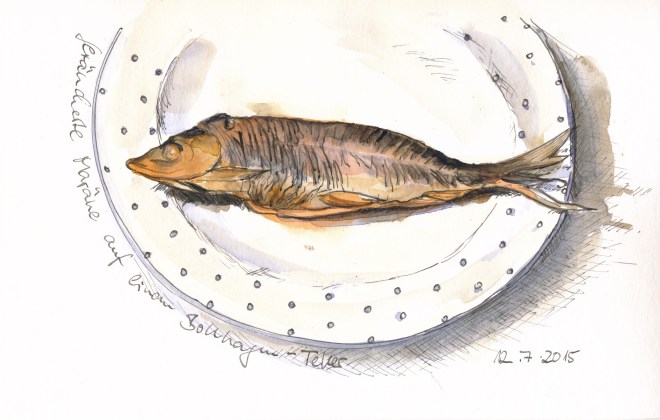 Schaalseemaräne auf einem Bollhagen-Teller, gezeichnet mit Super5-Tinte in einem Lamy-Joy-Füller und koloriert mit Aquarellfarbe