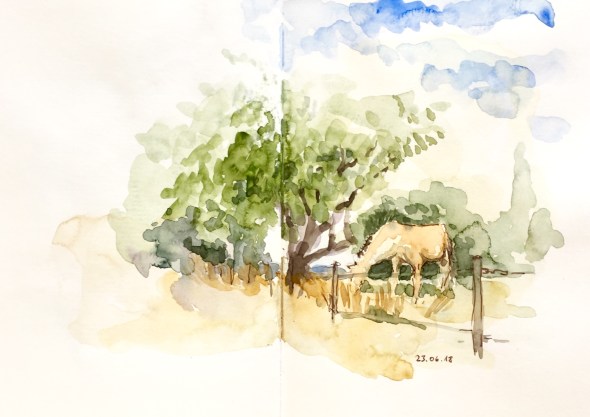 A7F62BF4-CB1C-4224-AB96-3C7F975471F3