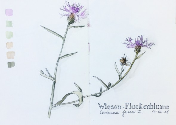 E92FA8D4-4757-4920-9B62-7845F0D477FA